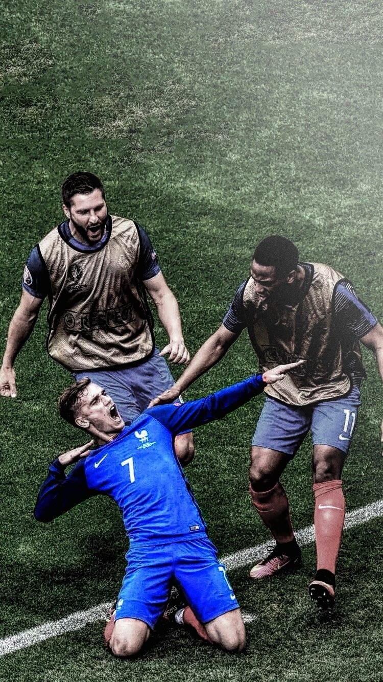 已成左右系 已成左右系